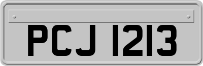 PCJ1213