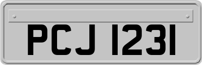 PCJ1231