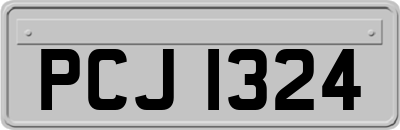 PCJ1324
