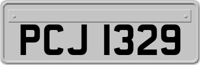 PCJ1329