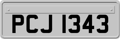 PCJ1343