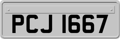 PCJ1667