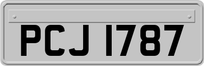 PCJ1787