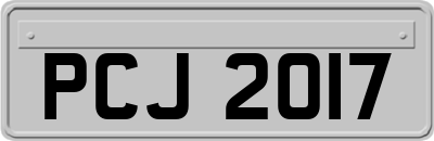PCJ2017