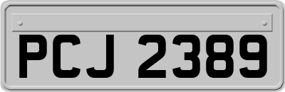 PCJ2389