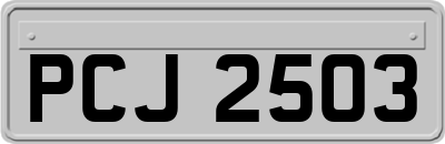 PCJ2503