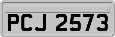 PCJ2573