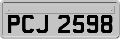 PCJ2598