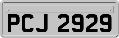 PCJ2929