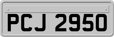 PCJ2950