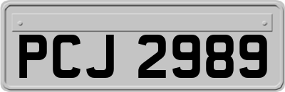PCJ2989