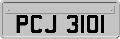 PCJ3101