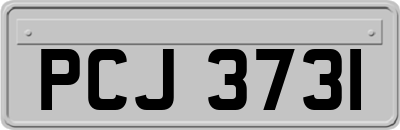 PCJ3731