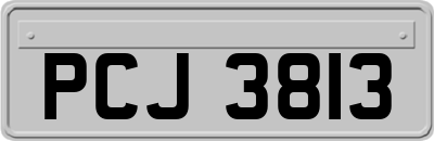 PCJ3813