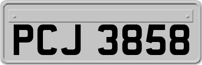 PCJ3858