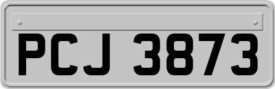 PCJ3873