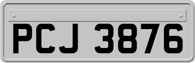 PCJ3876