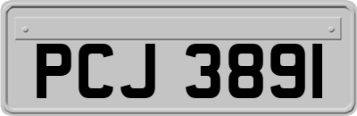 PCJ3891