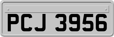 PCJ3956