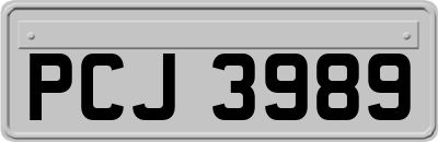 PCJ3989