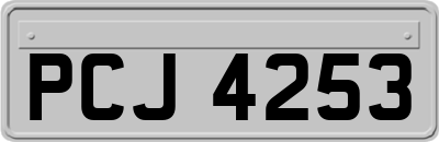 PCJ4253