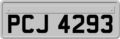 PCJ4293