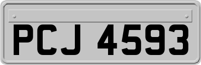 PCJ4593