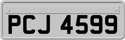 PCJ4599