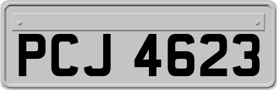 PCJ4623