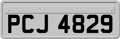 PCJ4829