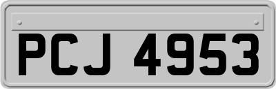 PCJ4953