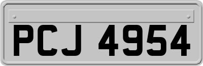 PCJ4954