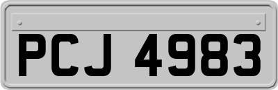 PCJ4983