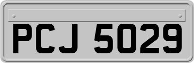 PCJ5029