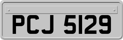 PCJ5129