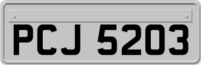 PCJ5203