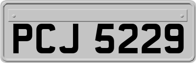 PCJ5229