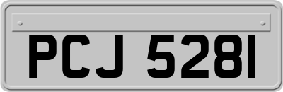 PCJ5281
