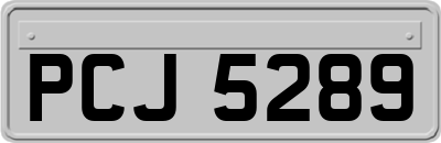 PCJ5289