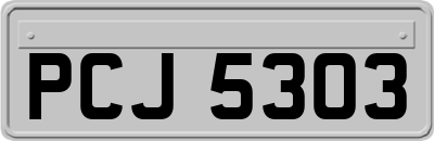 PCJ5303
