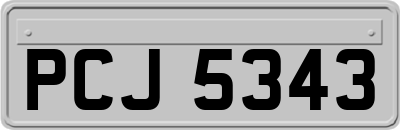 PCJ5343