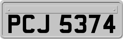 PCJ5374
