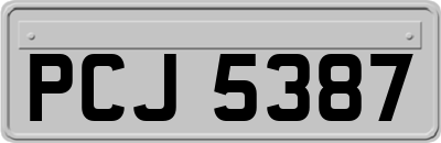 PCJ5387