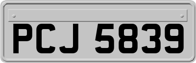 PCJ5839