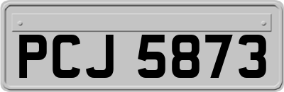 PCJ5873