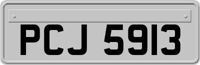 PCJ5913