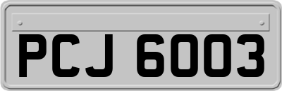 PCJ6003
