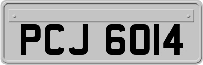 PCJ6014