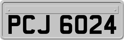 PCJ6024
