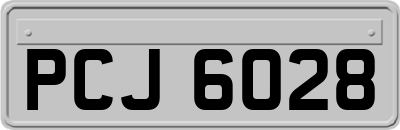 PCJ6028